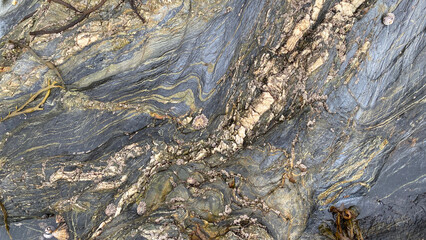 Beach Rock Strata at Castle Beach in Falmouth, Cornwall, UK