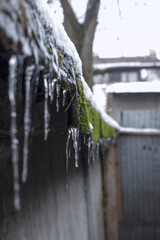 Icicles hanging from the roof of a garage lined with tar paper, with moss growing on it.