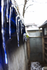 Icicles illuminated by blue light hang from the roof of a garage lined with tar paper, on which moss grows.