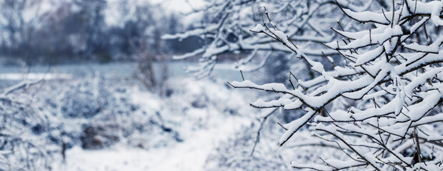 Winter landscape with snow-covered tree branches near the river after heavy snowfall