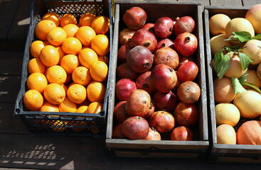 Vegetables and fruits are sold at a bazaar in Israel.