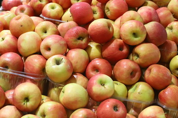 Vegetables and fruits are sold at a bazaar in Israel.