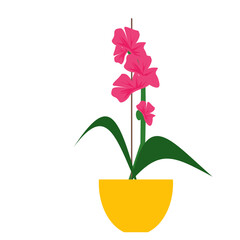 Vector illustration of an orchid with pink flowers. Orchid in a yellow pot. Flower in a pot. Isolated
