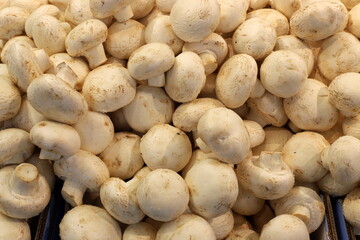 Vegetables and fruits are sold at a bazaar in Israel.
