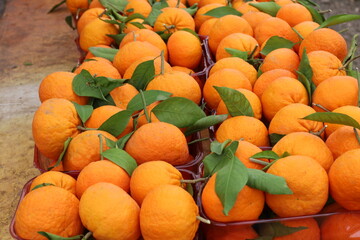 Vegetables and fruits are sold at a bazaar in Israel.