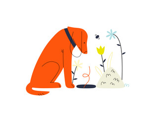 Not found - Online shopping and electronic commerce series - modern flat vector concept illustration of a dog sitting next to an empty pit. Missing artcile, sale and online orders concept