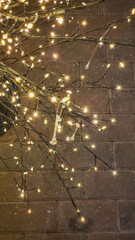 Close up of small Christmas lights