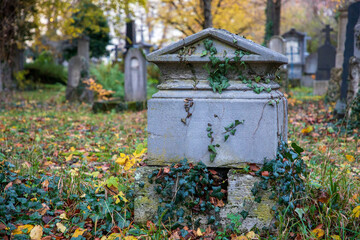 old grave yard haunted and decaying