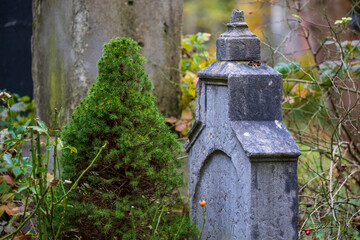 old grave yard hauted and decaying