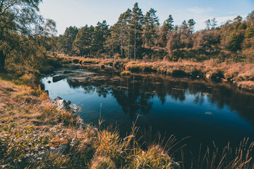 Schöner See im Herbst in Norwegen reflektiert