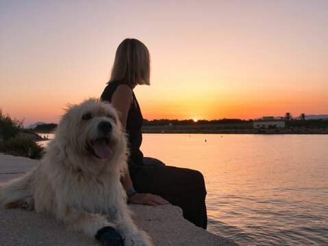 Sapsali breed dog and a young woman sitting by a river during pinky sunset