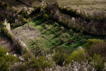 Spring nature landscape in Apuseni Mountains Romania