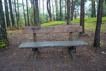 Wooden bench in the middle of woodland 