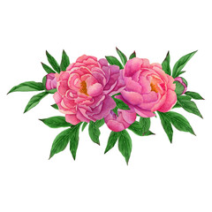 composition with peony flowers and leaves.