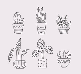 Set of home plants in Flowerpot. Outline drawing of houseplant in pot. Vector isolated illustration on white background.