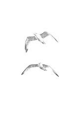 Fototapeta premium Möwe, Möwen