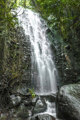 waterfall in the forest