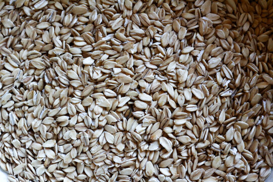 Oatmeal grains - flattened - piled in large quantities - top view - close-up