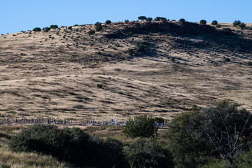 Remote cemetery in New Mexico