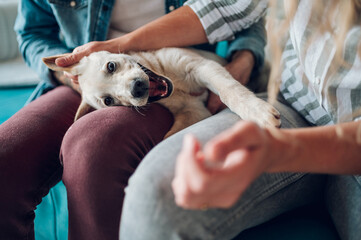 Couple petting their adopted dog while sitting on the couch at home