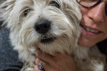 Long-haired white dog hugged by its owner.