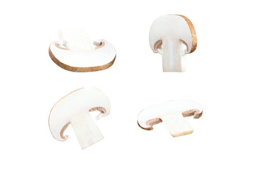 Brown champignon, set of pieces of Portobello mushroom isolated on white background, clipping path, full depth of field. Focus stacking