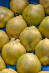 Fresh ripe Quince fruit on a display at a greengrocer stall at a food market