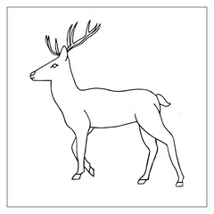 Deer. Hand-drawn vector sketch illustration of a reindeer. Christmas decoration. 