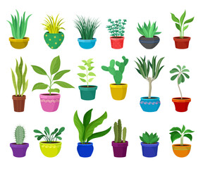 Set of potted plants for home or office interior. Different indoor houseplants cartoon vector
