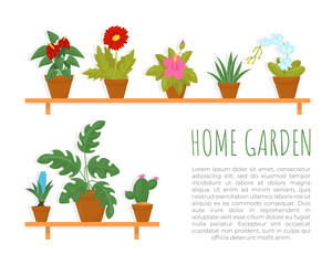 Home garden brochure template with space for text. Banner, poster, booklet with potted plants cartoon vector