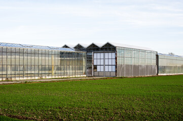 Naklejka na ściany i meble Glass exterior of a greenhouse with a grass field in the foreground in Arnhem in the Netherlands