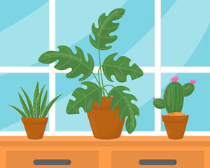 Various houseplants in pots on windowsill. Indoor plants in pots standing in front of window. Urban gardening cartoon vector
