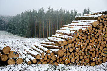 Holzstapel im Winter am Feldweg. 
