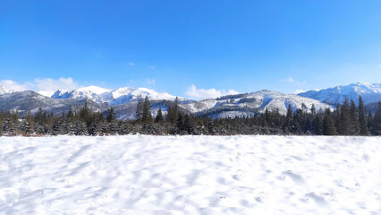Fototapeta premium panoramic landscape with tatra mountains. landscape in winter.