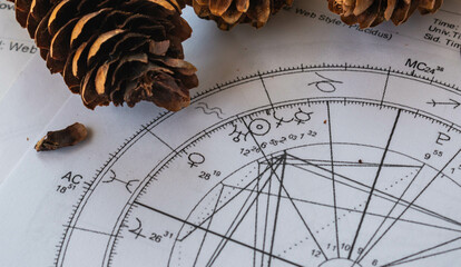 Printed astrology charts with pine cones in the background