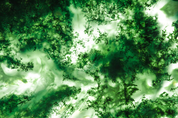 green moss agate (chalcedony crystal with green dendritic inclusion) macro detail. close-up of a textured semi-precious gemstone background. backlight transparency