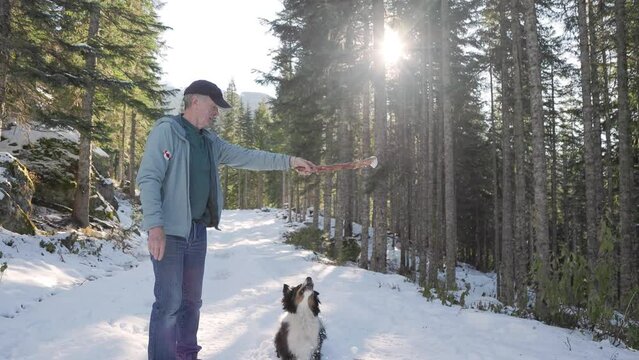 Older man playing with dog in snowy forest, playing fetch, winter wonderland, retirement, pet owner. 4K 24FPS