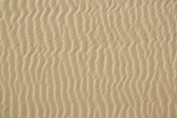 Fototapeta na wymiar Waves on the surface of the sand close-up, top view. Sunny day in the desert or on the beach