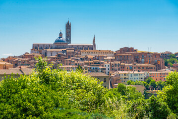 Naklejka na ściany i meble View of the skyline of Siena, Italy.