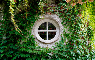 a romantic round overgrown with ivy window in the botanical garden in Augsburg, Bavaria, Germany