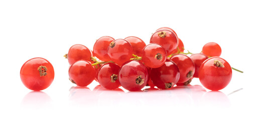Redberries on the white background