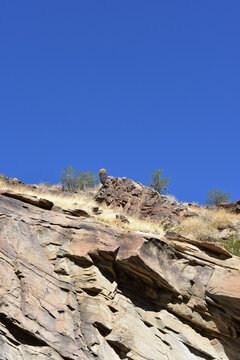 Palm Canyon, Palm Springs