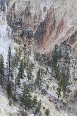 Fototapeta na wymiar dragon's canyon