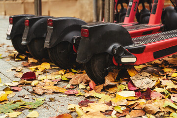 Electric scooters parked among autumn leaves