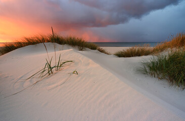 Fototapeta Krajobraz wybrzeża Morza Bałtyckiego, wydma , biały piasek, zachód słońca, Kołobrzeg, Polska obraz