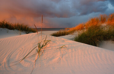 Krajobraz wybrzeża Morza Bałtyckiego, wydma , biały piasek, zachód słońca, Kołobrzeg, Polska - obrazy, fototapety, plakaty