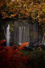 Fototapeta na wymiar Shiraito Falls
