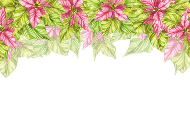 Watercolor christmas star flower, green poinsettia flowers, hand drawn illustration isolated on white background Banner, frame, border. Isolate. For invitation cards, any print design, postcards.