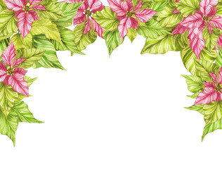 Watercolor christmas star flower, green poinsettia flowers, hand drawn illustration isolated on white background Banner, frame, border. Isolate. For invitation cards, any print design, postcards.