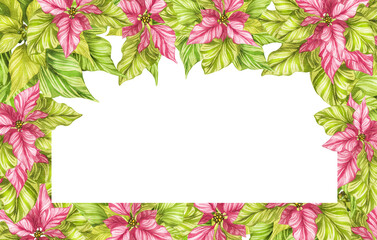 Watercolor christmas star flower, green poinsettia flowers, hand drawn illustration isolated on white background Banner, frame, border. Isolate. For invitation cards, any print design, postcards.